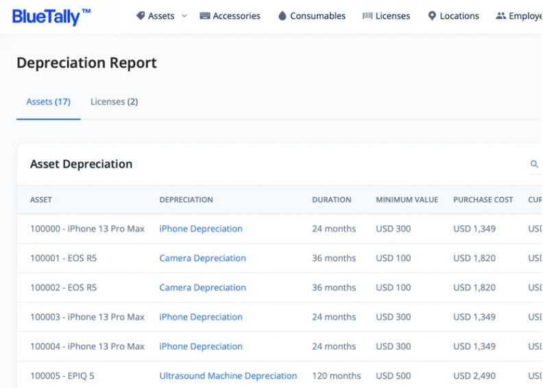 depreciation report in Blue Tally