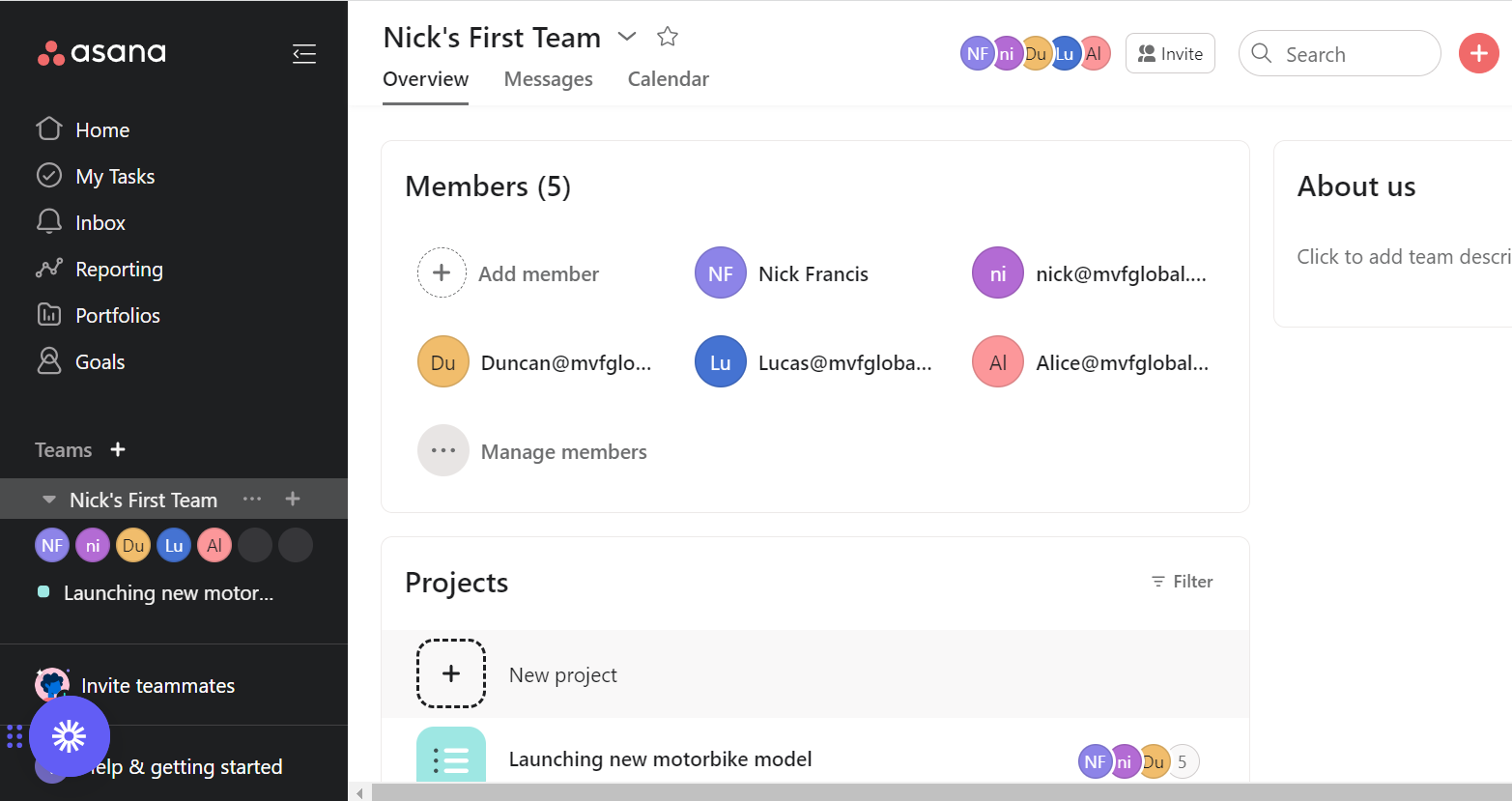 Asana Team View